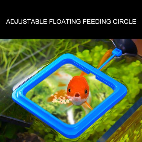 Mangeoire automatique pour Aquarium, synchronisation intelligente, Aquarium Intelligent de grande capacité (1/5)
