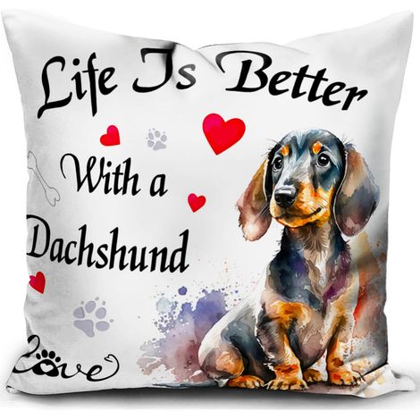 Teckel Housse de Coussin 40x40 cm Chien Le Teckel Femme Cadeau Accessoires canape Coussin decoratif Salon scandinave Housse Coussin pour canapé Chambre (1/5)