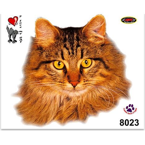 Adesivi Stickers Medi Gatto Persiano 13,5 x 16 cm