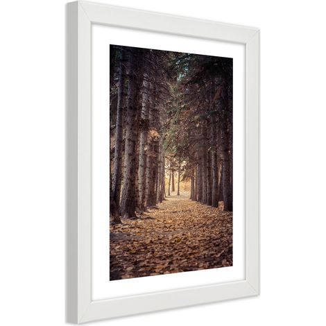 Quadro con cornice, Foresta in autunno - 40x60 (1/5)