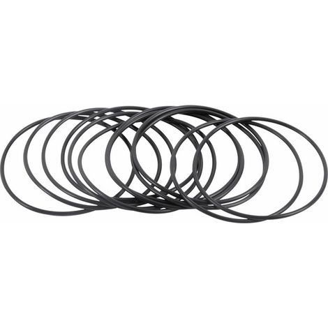 Joint torique (X 12) - DIFF pour Riello : 3007152