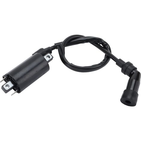 2 Pin Ignition Coil Replacement for 700 700R YFM700 YFM700R 2006-2008 ATV 4 Wheels Quad (1/4)