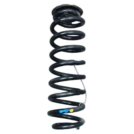 Ressort Amortisseur Arriere Gauche DACIA Spring [PRODUIT D'OCCASION]♻️550200356r