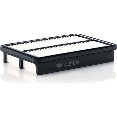 Filtre à air Mann Filter C25019