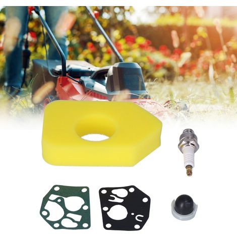 Grundierung für Briggs & Stratton 795083 698369 694394 Luftfilter 495770 Membrandichtungen. (1/5)