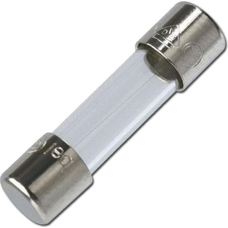 fusibles rapidos 10 a 250 v 5 ø x 20 mm blister 5 u 14008-60502