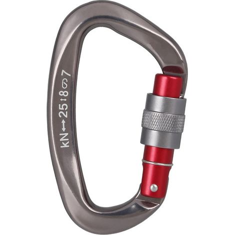 1 Pièce Kit D'Alpinisme Extérieur : Mousqueton D'Escalier en Forme de D en Aluminium, Verrou à Ressort à Vis de Sécurité 25kn, 25.4 cm (1/5)