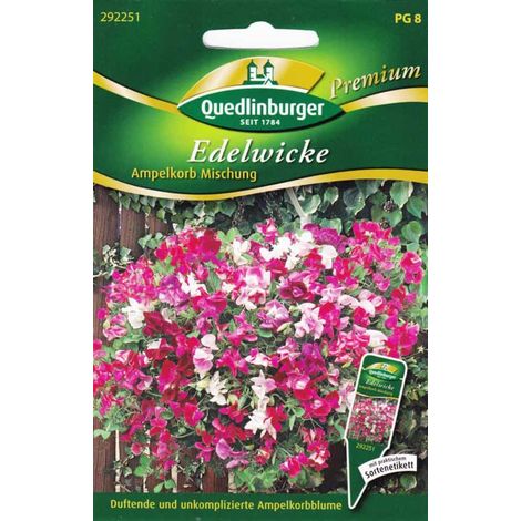 Quedlinburger Edelwicke Ampelkorb Mischung - Blumensamen (1/4)