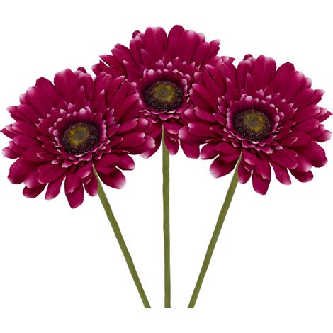 3 Margherite artificiali Fucsia di grandi dimensioni con gambo lungo - Fiori in tessuto inodore con foglie realistiche (1/5)