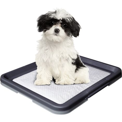 Nobby Doggy Trainer Ersatzpads 24 Stück Größe S Welpenunterlage