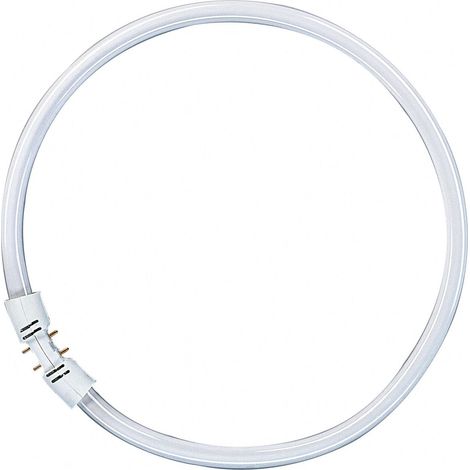 Osram – Ampoule fluorescente circulaire 2GX13 T5 40W 4000K – Longueur 300mm – Flux lumineux 3400lm – Indice de rendu des couleurs 80-89