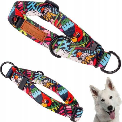 Collar de medio estrangulamiento SEGURO para cachorros de perros pequeños de 20-27 cm Ukory (1/5)