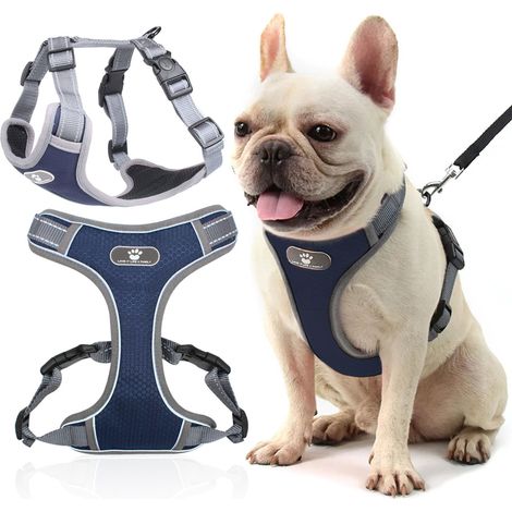Astro Trainingsgeschirr für Hunde, marineblau, Größe S (1/5)