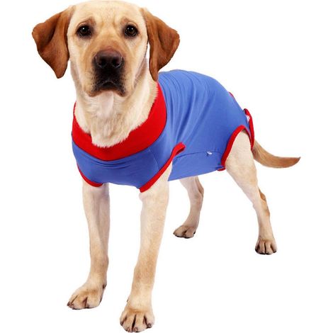 Combinaison de récupération extensible pour chien, anti-léchage, ajustable, post-opératoire pour plaie abdominale, bleue (1/2)