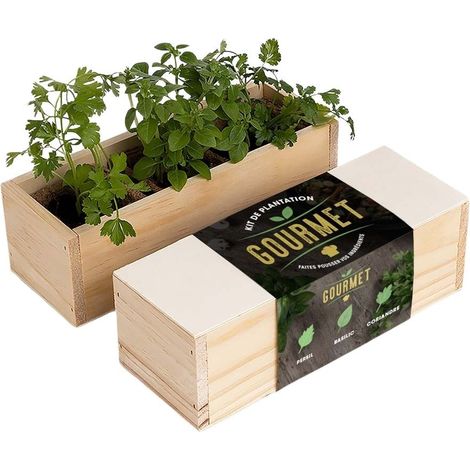 Kit d'Auto-culture Gourmet - Persil, basilic et coriandre (1/3)