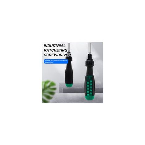 Tournevis multifonction portable 11 en 1, tournevis télescopique à cliquet, outil multifonction magnétique CR-V, livré avec 10 embouts de tailles différentes, y compris Torx, à fente, Phi (1/4)