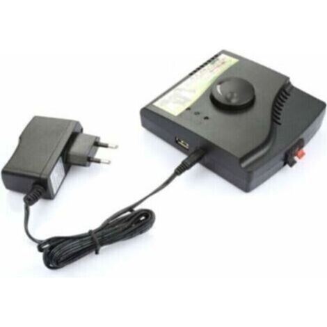 Clôture Électrique pour Chien avec 2 Colliers - Colliers Anti-Fugue pour un Dressage Efficace-