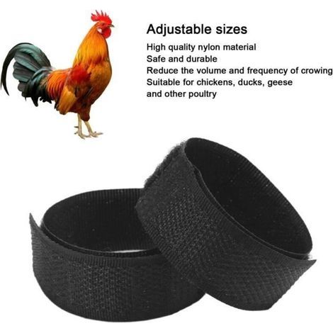 Pinellia - Hühnerhalsbänder, 2er-Pack, Anti-Haken-Nylon-Hühnerhalsbänder, geräuschloser Hühnerhalsgürtel für Hähne (1/4)