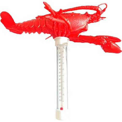 Thermomètre Pour Eau,Thermomètre Animaux Dessinés Pour Bains À Remous - Accessoire De Piscine Grand Thermomètre Pour Maison Étang Intérieur Extérieur Spa Source Chaude Baignade Enfamille (1/5)