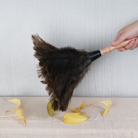 Plumeau en plumes d'autruche - 40 cm de long - Manche en bois - Universel - Marron - Plumeaux de voiture réutilisables et lavables - Plumeaux de nettoyage écologiques - Plumeaux (1/5)
