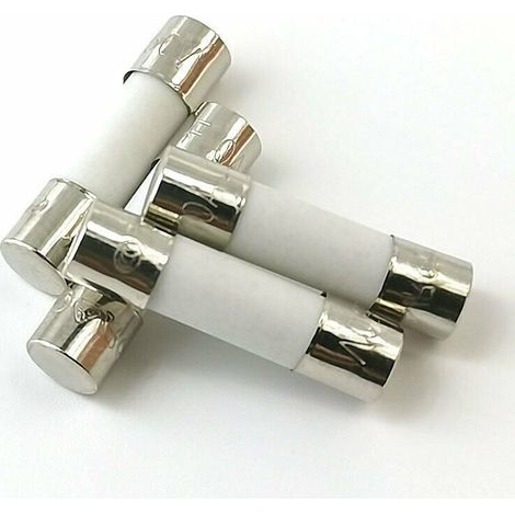 10x Time delay fuse (T) ceramic 10A / 250VAC 5x20mm