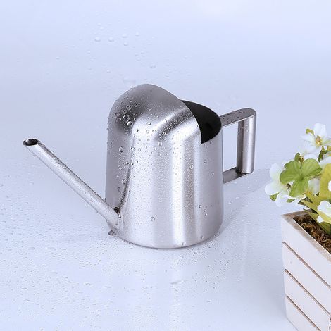 Bouilloire en acier inoxydable de 300 ml avec couvercle semi-ouvert pour arrosoir d'intérieur (1/5)