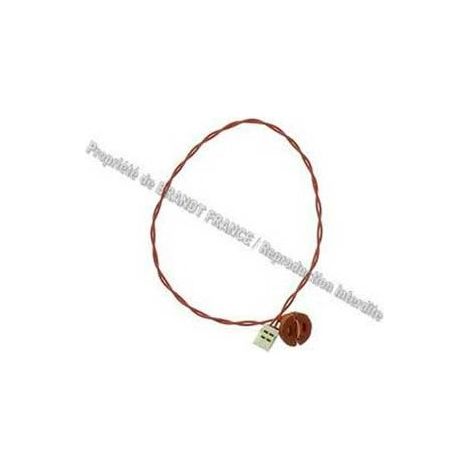 Capteur NTC 2 pins