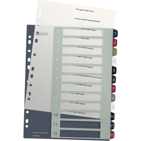 Leitz 1238 Style Divisore DIN A4 1-12 Polipropilene Multicolore 12 schede extra largo, etichettabile con PC 1238-00-00 (1/4)