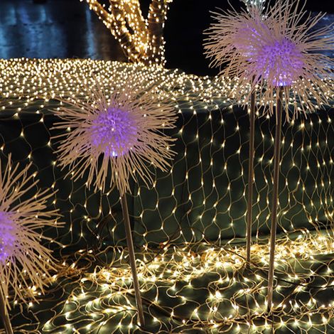 Guirlandes lumineuses LED solaires, guirlandes lumineuses ciel étoilé pour jardin, guirlandes lumineuses pour filets de pêche (1/4)