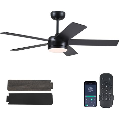 Ventilateur de Plafond Noir 117cm avec Lumière LED, Moteur DC Silencieux et Profil Bas, 5 Pales Réversibles, Contrôle par App et Télécommande, Design Moderne, Noir (1/5)