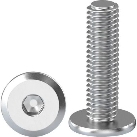 10 Pièces Vis à Tête Plate Avec Six Pans Creux M8 X 25 mm Boulons à Tête Plate Hexagonale en Acier Inoxydable A2 V2A Vis à Tête Cylindrique Hexagonale à Bride Boulons Allen (1/5)