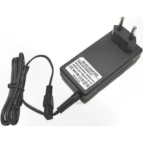 Adaptateur secteur européen pour aspirateur compatible avec le chargeur VC6 - Accessoire compatible avec la charge rapide (1/4)