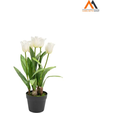 TULIPANO OLANDESE BIANCO IN VASO H54CM