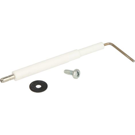Electrode d'ionisation