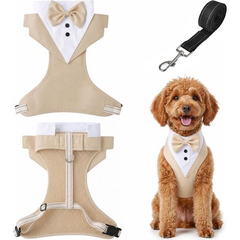 Harnais Chien Smoking Nœud Papillon M Abricot No-Pull Bouledogue Français Mariage Chat Réglable (1/5)