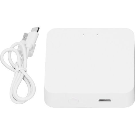 Passerelle Zigbee Compatible WiFi 2.4GHz, Bluetooth et Application pour Contrôle à Distance Hub Domotique Type C (1/5)