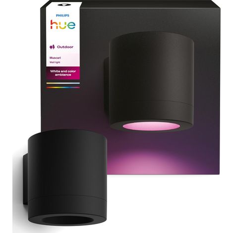 Philips Spot mural Hue Muscari