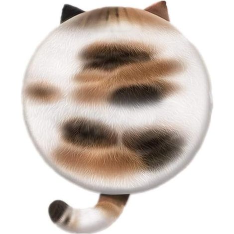 Coussin rond en mousse à mémoire de forme, coussin de chaise, coussin pour animaux de compagnie à motif chat (1/3)