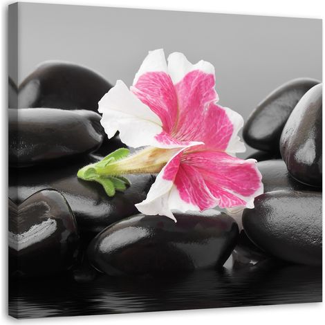 Stampa su tela, Fiore rosa su pietre - 30x30 (1/4)