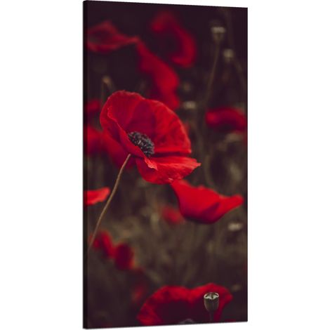 Leinwanddruck Botanik Rote Mohnblumen 60x120 cm