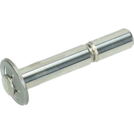 PISTON COMPLET D12 POUR NETTOYEUR HAUTE-PRESSION KARCHER - 4.553-228.0