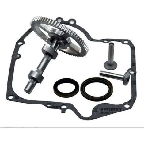 Arbre à cames Briggs & Stratton 793880 – Kit de remplacement avec joint d'huile 795387 – Compatible moteurs 4 temps – Haute qualité (1/4)