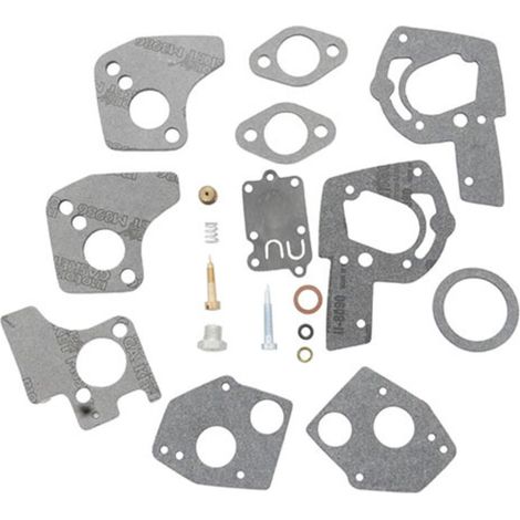 Kit joints carburateur Briggs & Stratton