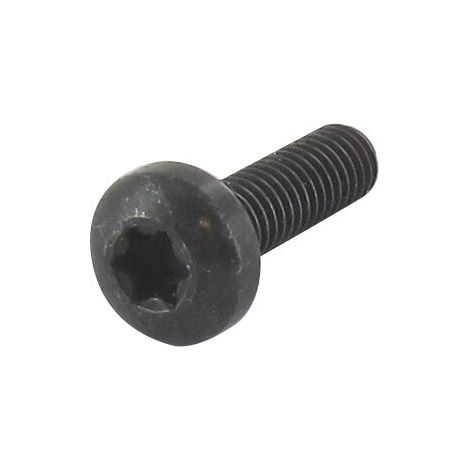 Tornillo TORX M6 x 20 mm GGP - CASTELGARDEN 112727801/0