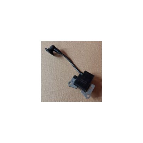 Ede Bobine d'allumage haute tension S-giant pour TLE43 (1E40F - EKASEI BC - 46) compatible.