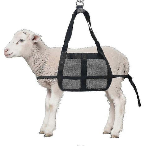 Sangle de pesée pour bétail avec sangles réglables - Solution de transport pour veaux, chèvres, chiens et porcs - Édition 0118 (1/5)