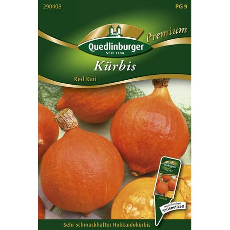 Quedlinburger Saatgut – Courge « Red Kuri » (potimarron) – Graines de légumes, fruits de 1,5 à 3 kg (1/2)