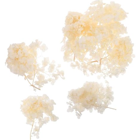Pétales de Fleurs Séchées Beige pour Mariage, Hydrangea Naturel, Conserve Douceur et Couleur Vive, Décor Vintage Élégant pour Centre de Table et Confettis (1/5)