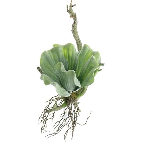 GASPER Anhänger Ast mit aufsitzender Sukkulente Grün 33 cm - Kunstpflanzen (1/3)