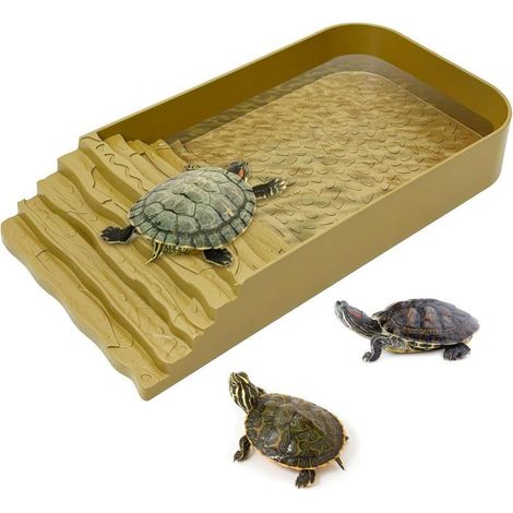 Piscine pour reptiles/Gamelle en plastique pour tortues avec rampe - Accessoires pour habitat - Marron (1/5)